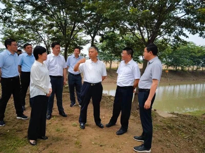 靖江人大主任图片